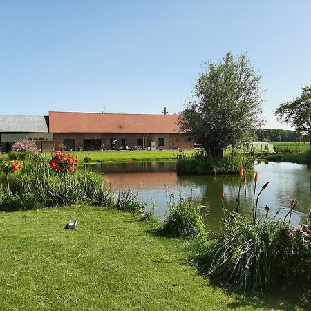 Chambre Coin Nature Fromelles Pokoj fotografie